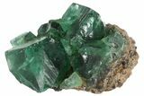 Fluorite Crystal Cluster - Rogerley Mine #94527-1